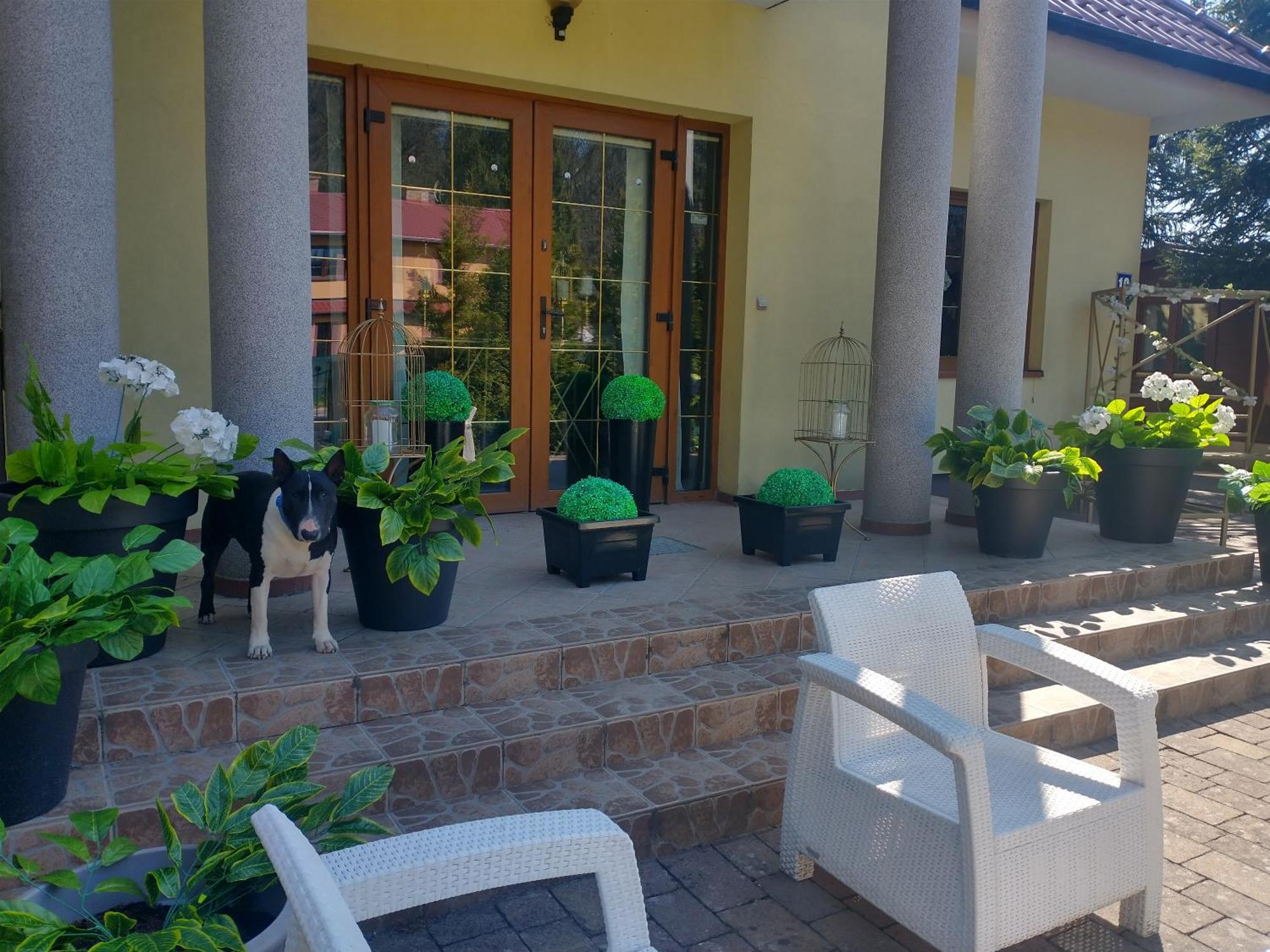 Hotel Korab Wiselka & Spa Exterior foto
